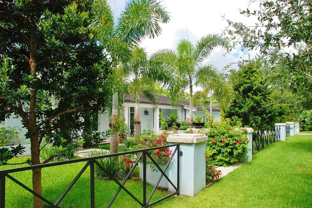 Trusted outdoor landscaping experts serving Miami, FL - Knoll Landscape Design