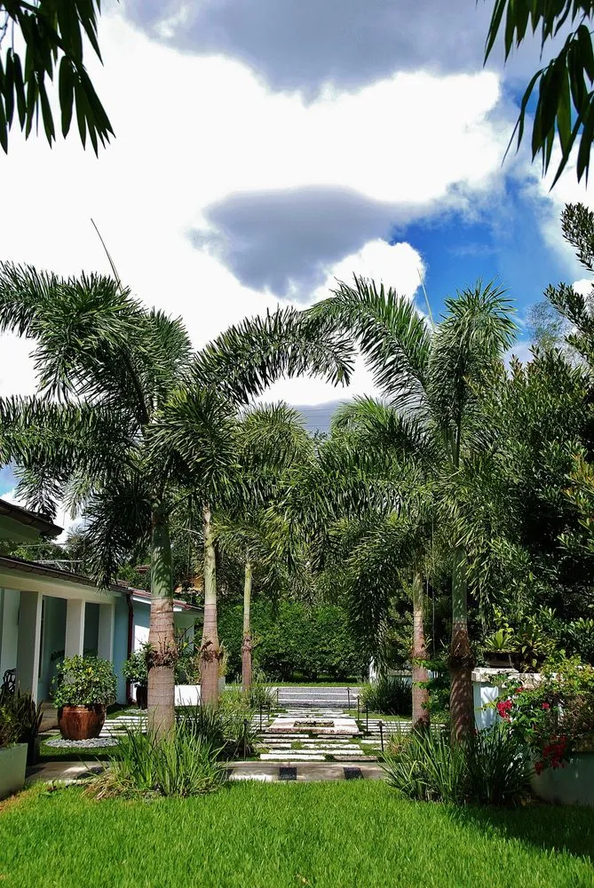 Affordable yard cleanup service in Miami, FL by Knoll Landscape Design