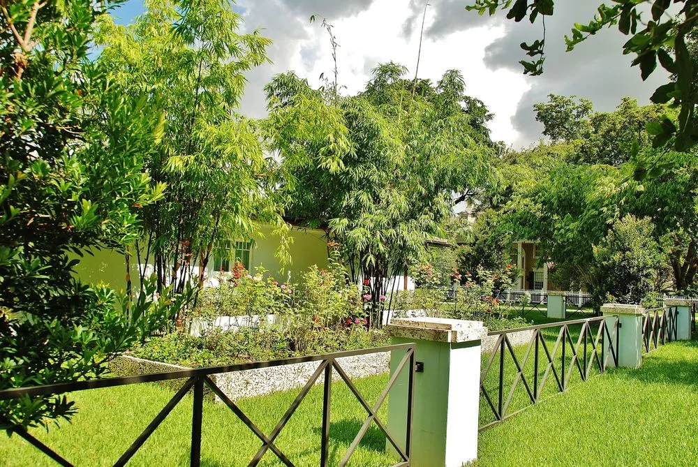 Custom yard cleanup service for homes across Miami, FL - Knoll Landscape Design