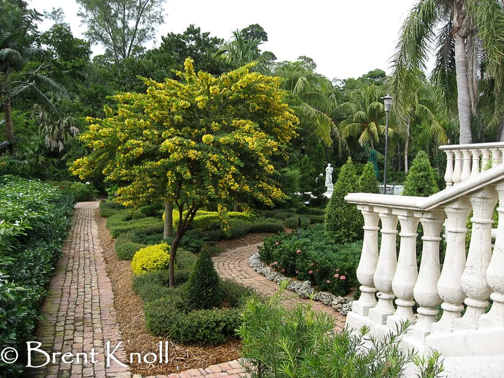 Reliable landscape design in Miami, FL by Knoll Landscape Design