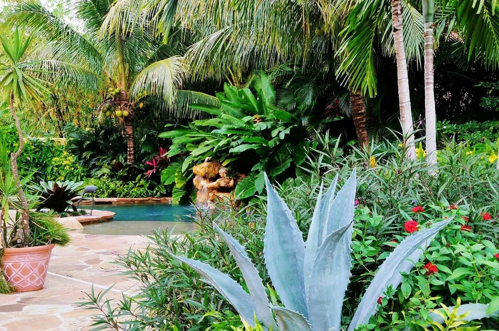 Trusted garden landscaping in Miami, FL - Knoll Landscape Design