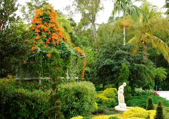 Knoll Landscape Design