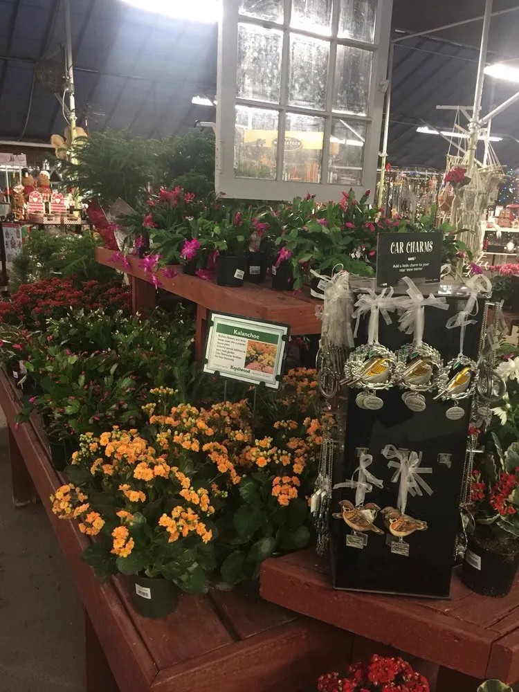 Reliable residential landscaping for year-round maintenance across Dayton, OH - Knollwood Garden Center and Landscaping