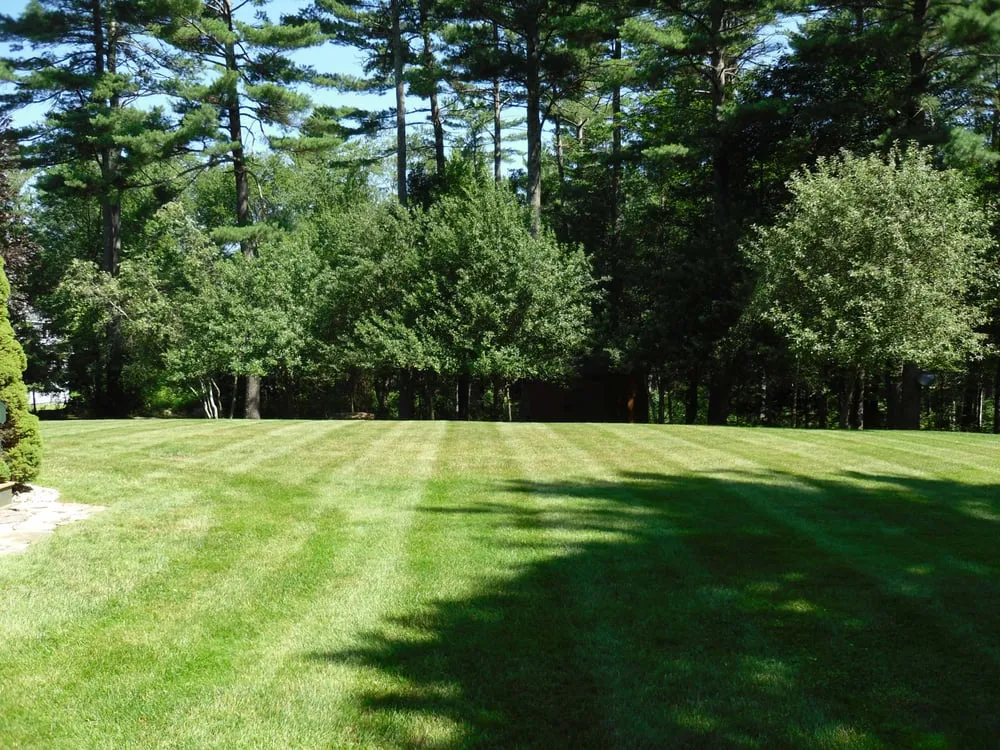 Affordable yard cleanup service in Amherst, NH by Knott's Land Care, LLC