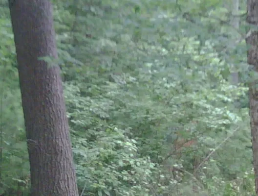 Custom lawn mowing service near you across Amherst, NH - Knott's Land Care, LLC