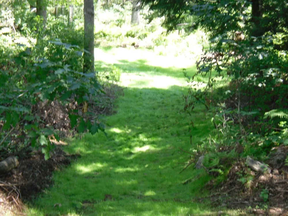 Expert landscape installation for outdoor upgrades across Amherst, NH - Knott's Land Care, LLC