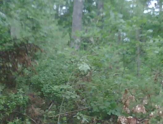 Affordable landscaping services for outdoor upgrades across Amherst, NH - Knott's Land Care, LLC