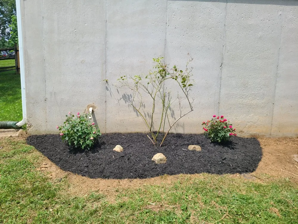 Expert lawn care service in Glen Burnie, MD - Knott's Lawn Service