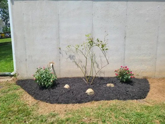 Knott's Lawn Service Logo