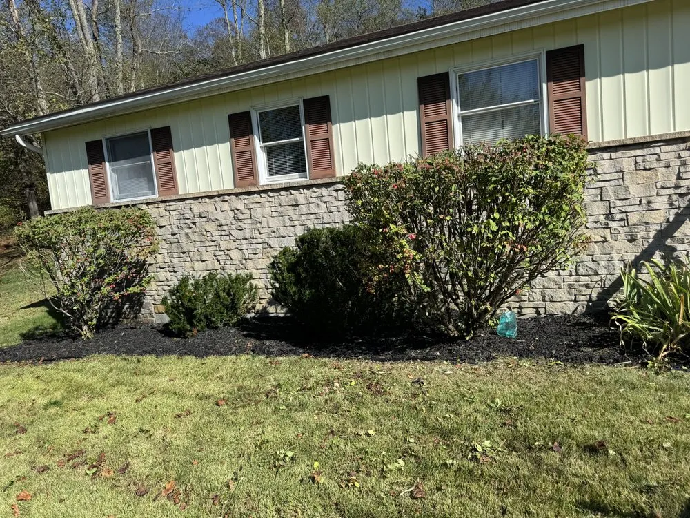 Top-rated yard maintenance for residential properties across Grafton, WV - Knotts LawnCare
