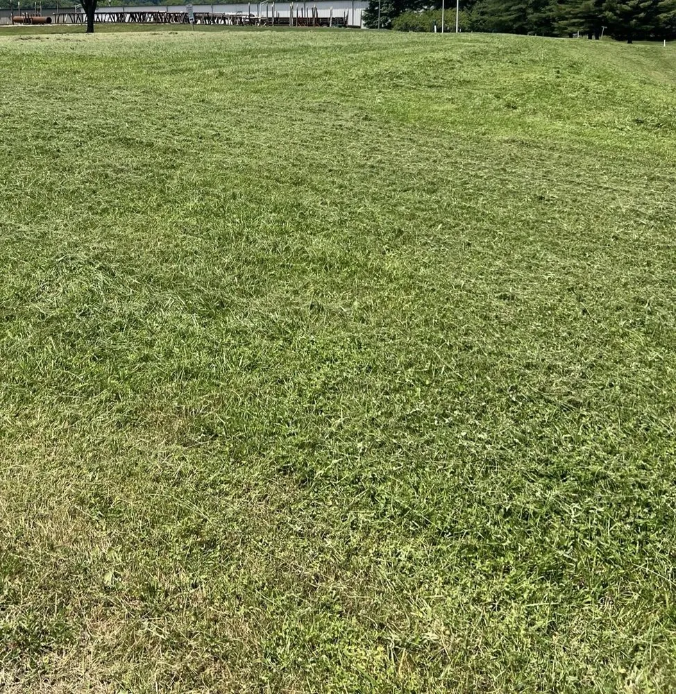 Trusted lawn mowing service near you in Grafton, WV by Knotts LawnCare