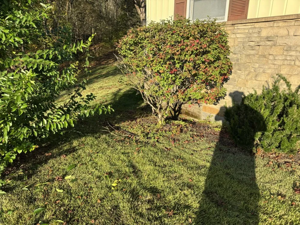 Top-rated lawn care service in Grafton, WV by Knotts LawnCare