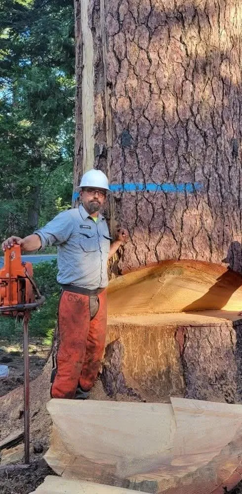 Expert landscaping services experts serving Taylor, AZ - Knotts Trees