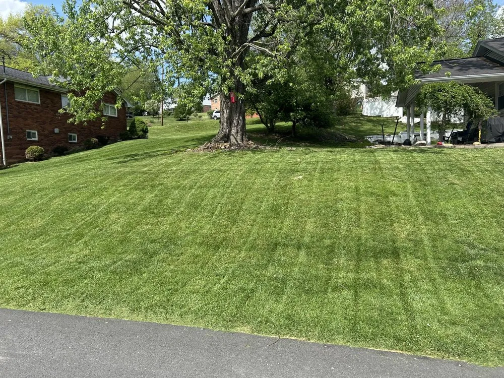 Local yard maintenance experts serving Clarksburg, WV - Knotts Yard Services