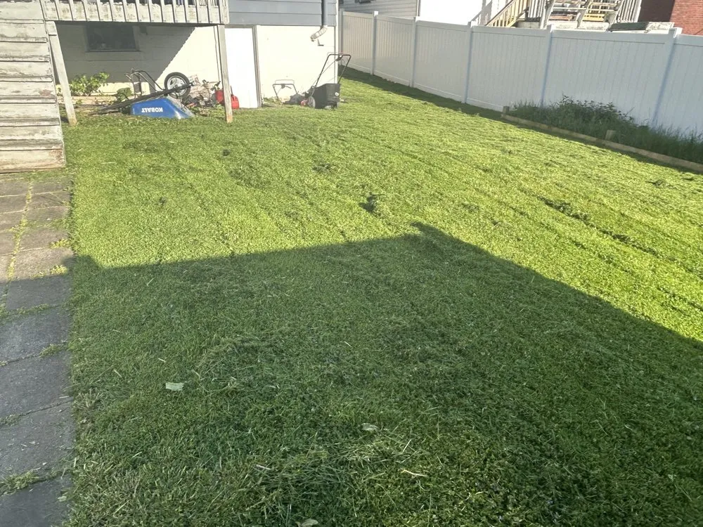 Local yard maintenance in Clarksburg, WV - Knotts Yard Services