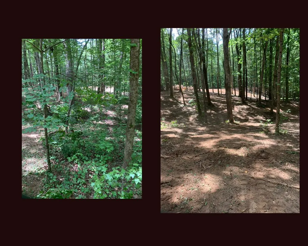 Expert residential landscaping in Dallas, GA by Knotty Pines Land Management