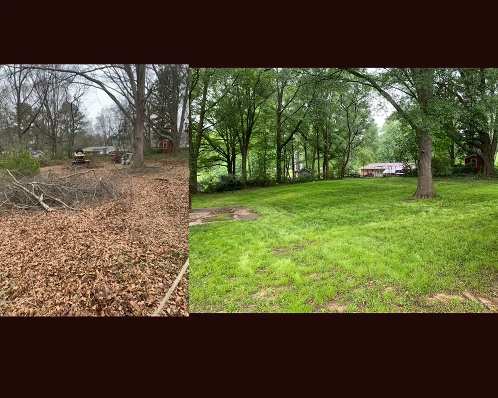 Professional outdoor landscaping in Dallas, GA - Knotty Pines Land Management