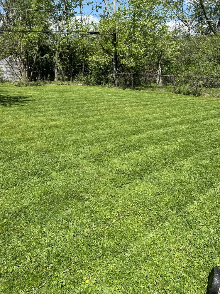 Top-rated lawn mowing service in Buffalo, NY - Knowledgeable Lawn Care