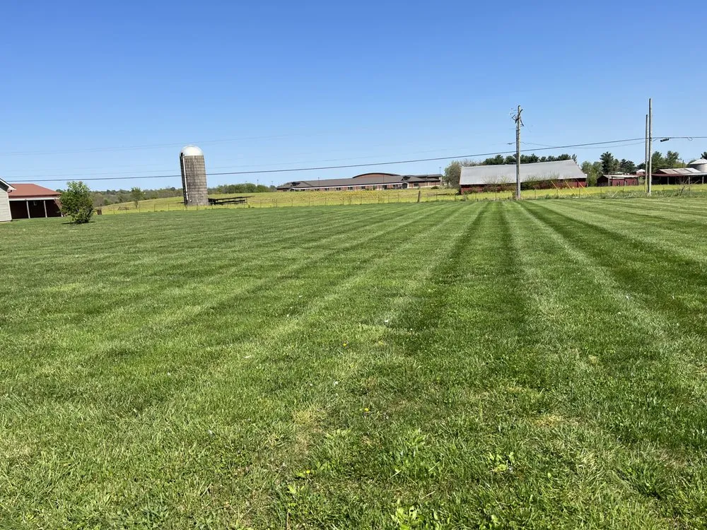 Top-rated residential landscaping experts serving Corryton, TN - Knox Blades of Fury