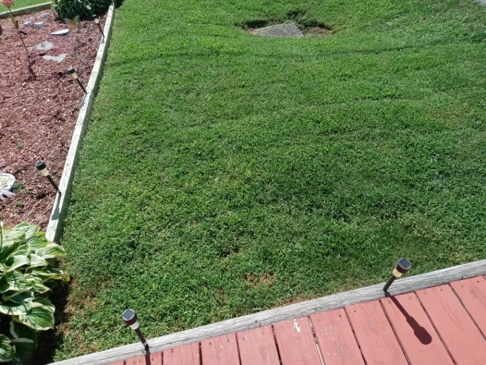 Trusted outdoor landscaping experts serving Vincennes, IN - Knox County Lawn Services