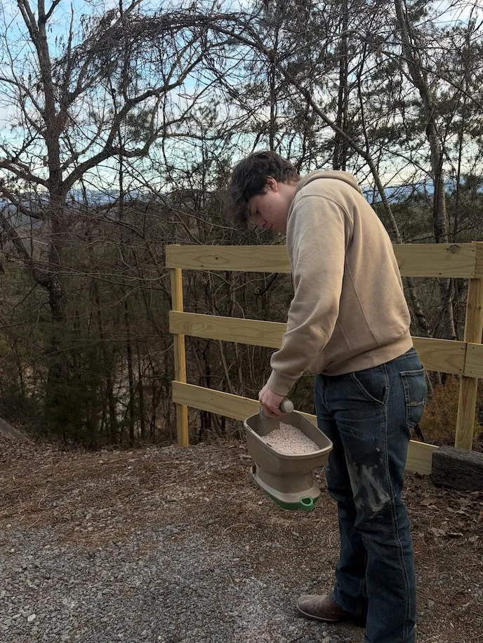 Affordable garden landscaping in Powell, TN by Knox Exterior Care