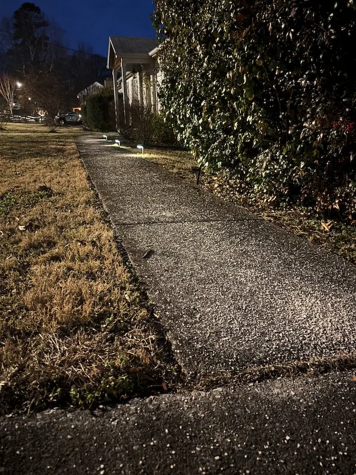 Top-rated yard cleanup service in Powell, TN by Knox Exterior Care