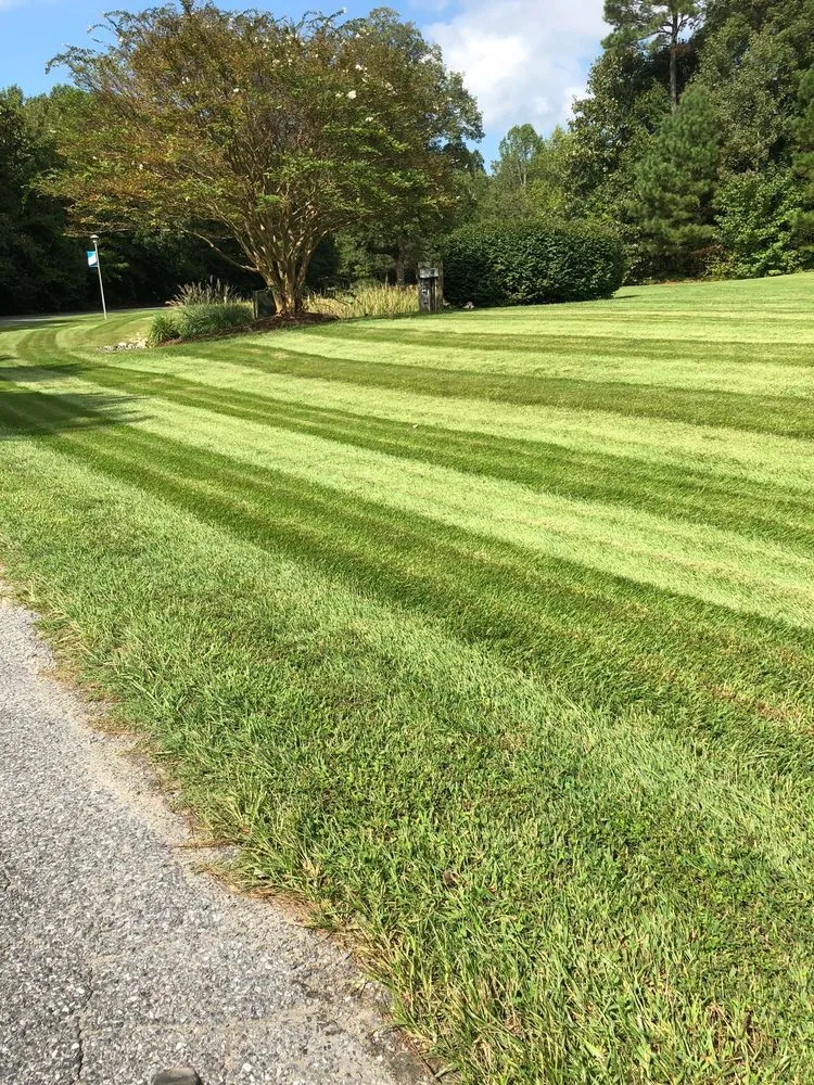 Expert yard cleanup service experts serving Lewes, DE - Knox Lawn Maintenance