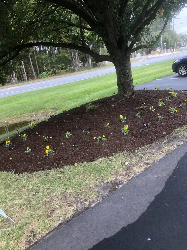 Affordable landscape installation in Lewes, DE by Knox Lawn Maintenance