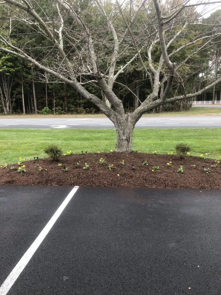 Local garden landscaping in Lewes, DE - Knox Lawn Maintenance