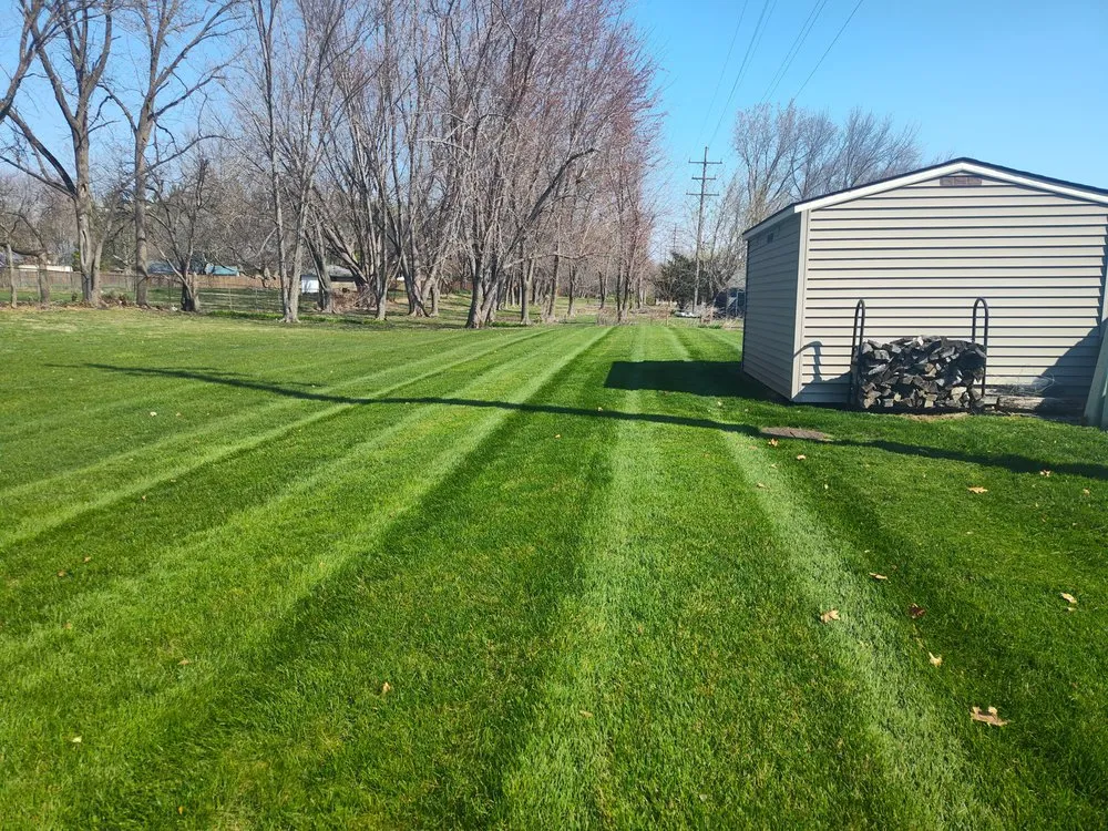 Trusted landscaping services for year-round maintenance across Springfield, IL - Knox Lawn Services