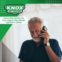 Top-rated residential landscaping in Brunswick, GA - Knox Pest Control