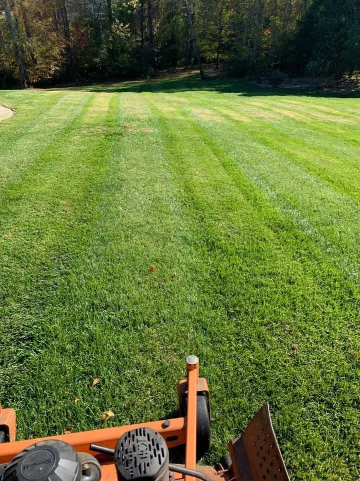 Professional outdoor landscaping experts serving Lenoir City, TN - Knox Turf Pros