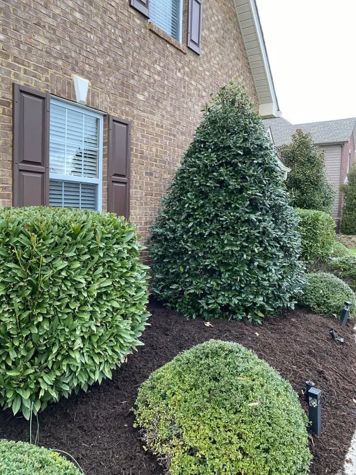 Expert residential landscaping experts serving Lenoir City, TN - Knox Turf Pros