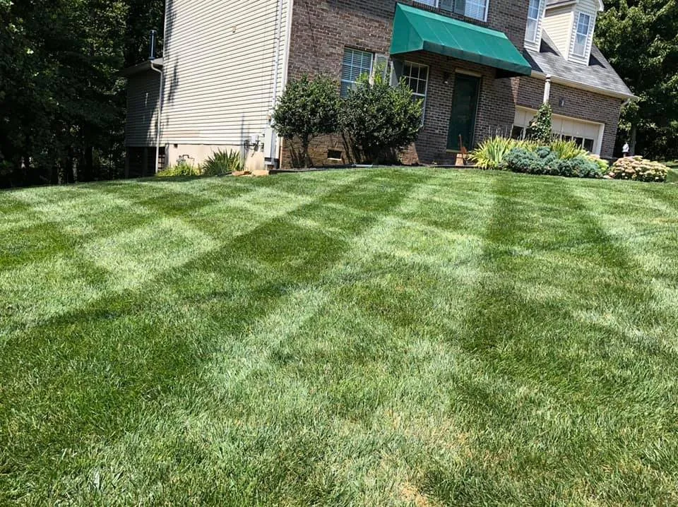 Trusted landscape installation in Lenoir City, TN by Knox Turf Pros