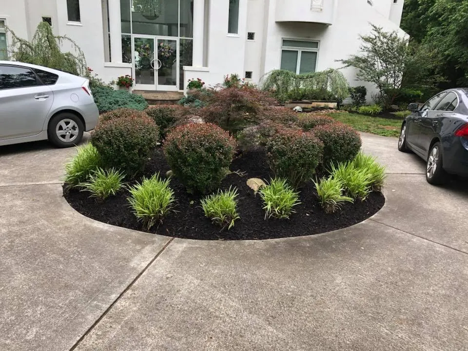 Professional lawn care service for residential properties in Lenoir City, TN by Knox Turf Pros