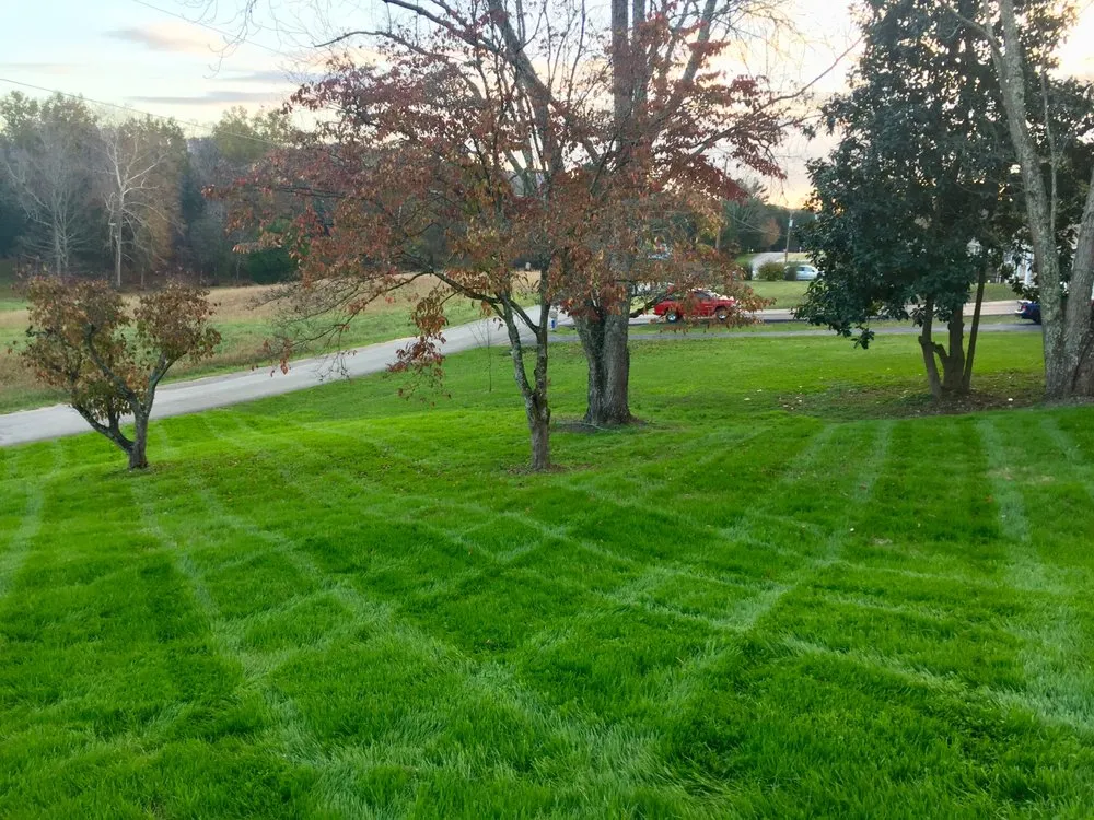 Trusted landscaping services in Lenoir City, TN - Knox Turf Pros