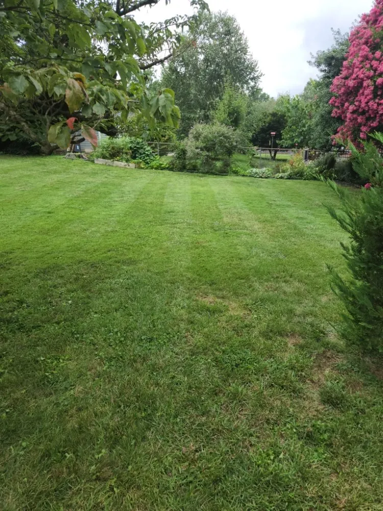 Professional landscape design in Knoxville, TN by Knox Vegas Lawn Service