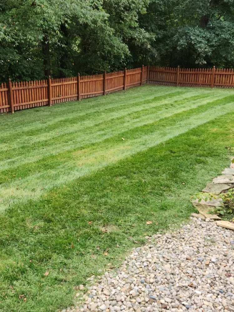 Expert landscape installation in Knoxville, TN - Knox Vegas Lawn Service