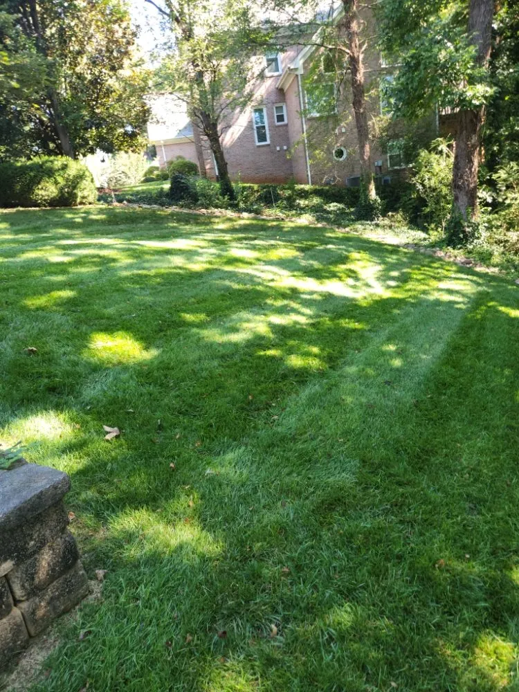 Custom yard maintenance experts serving Knoxville, TN - Knox Vegas Lawn Service