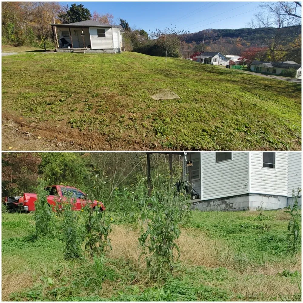 Affordable yard cleanup service experts serving Knoxville, TN - Knox Vegas Lawn Service