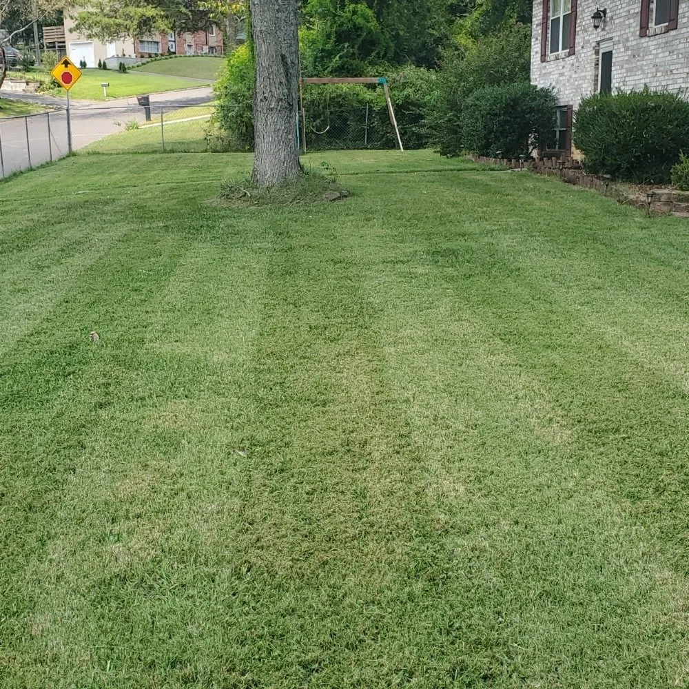 Local residential landscaping experts serving Knoxville, TN - Knox Vegas Lawn Service