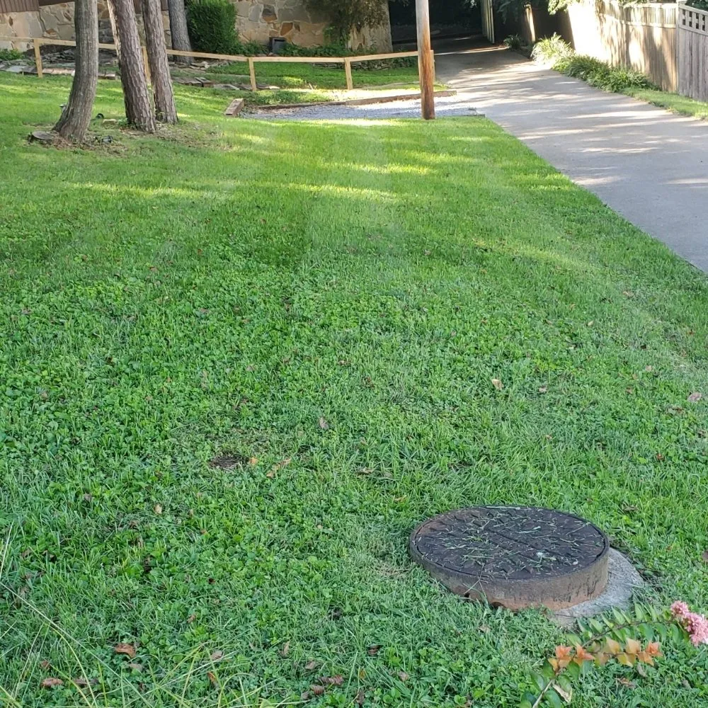 Reliable lawn mowing service in Knoxville, TN - Knox Vegas Lawn Service