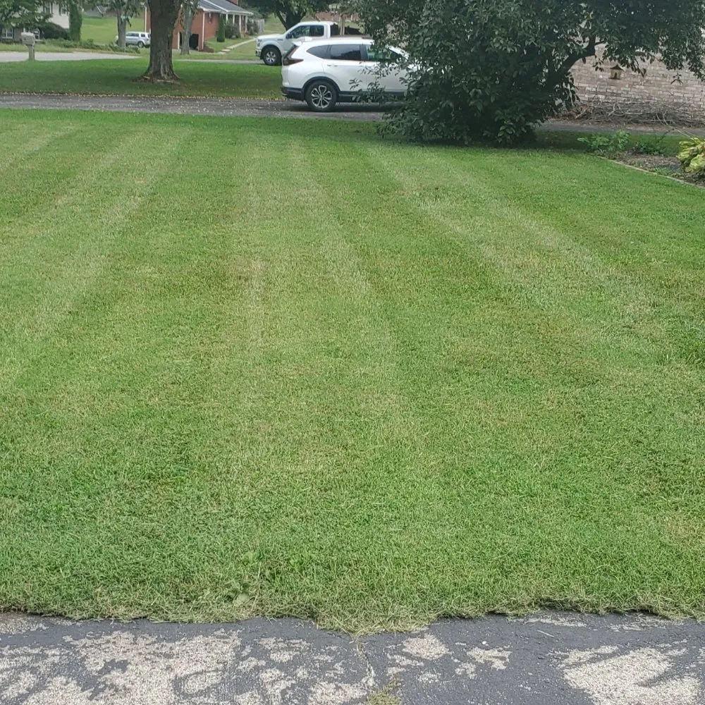 Professional garden landscaping experts serving Knoxville, TN - Knox Vegas Lawn Service