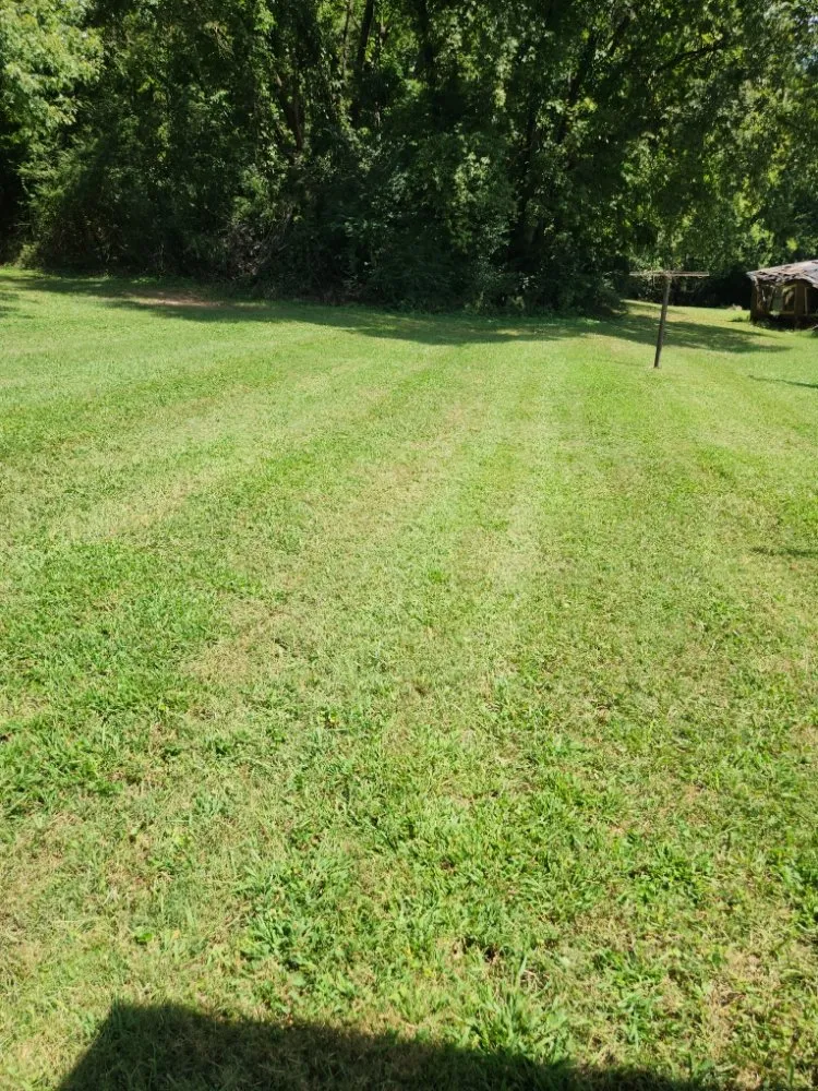 Affordable yard cleanup service in Knoxville, TN by Knox Vegas Lawn Service