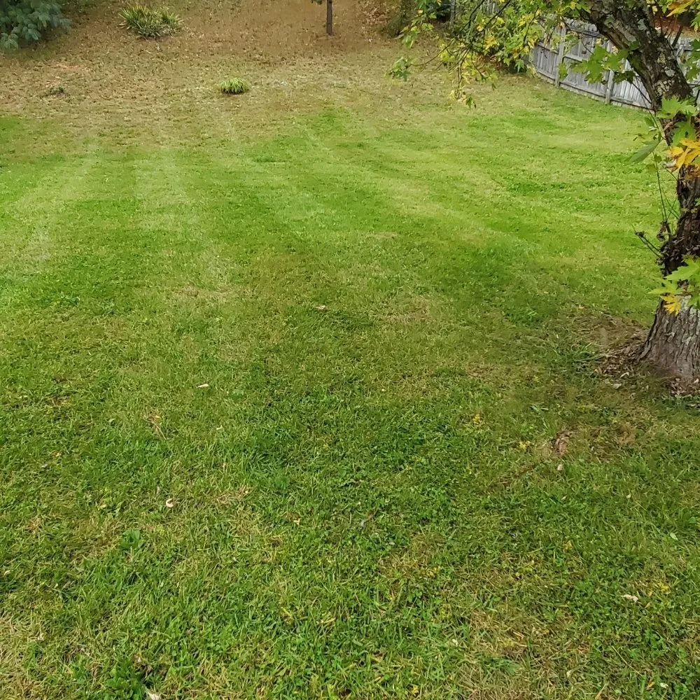 Trusted residential landscaping in Knoxville, TN by Knox Vegas Lawn Service