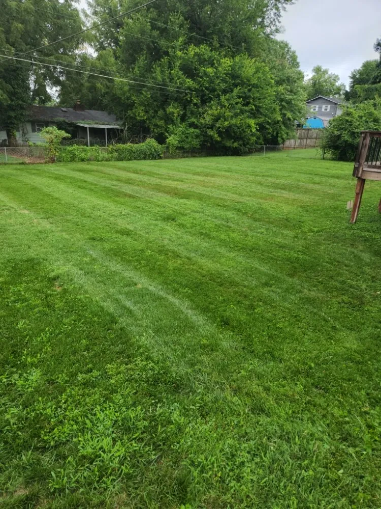 Trusted landscaping services for residential properties across Knoxville, TN - Knox Vegas Lawn Service