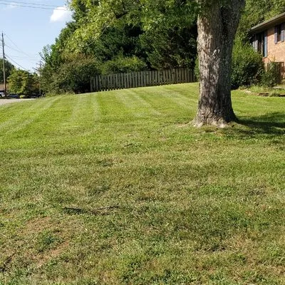 Knox Vegas Lawn Service Logo