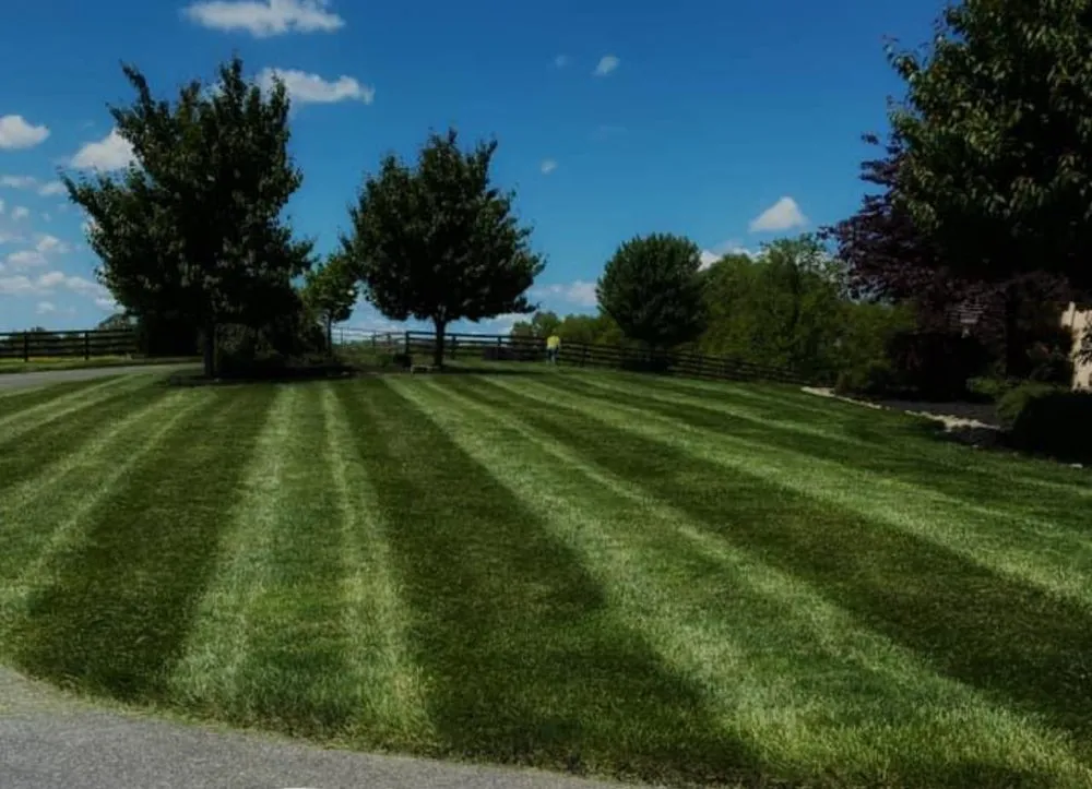 Custom lawn care service for beautiful yards across Corryton, TN - Knoxville Landscaping
