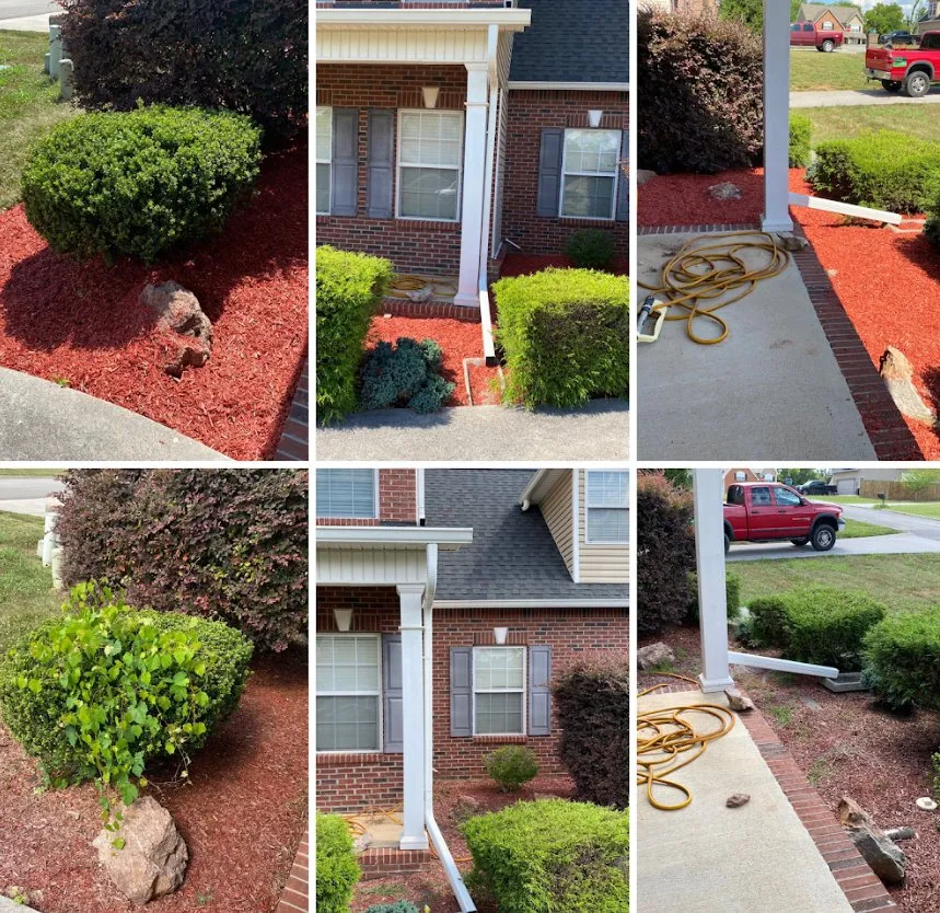 Expert lawn care service for residential properties across Corryton, TN - Knoxville Landscaping