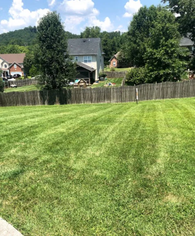 Local yard maintenance for outdoor upgrades across Corryton, TN - Knoxville Landscaping